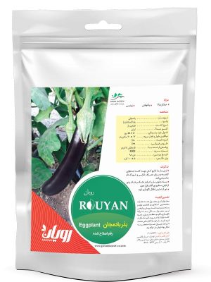 بذر بادمجان رویان؛ رقم اصلاح شده تولید شرکت زیست فناور سبز
