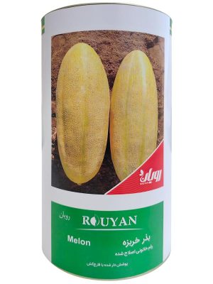 بذر خربزه رویان؛ رقم اصلاح شده رویان 95 تولید شرکت زیست فناور سبز